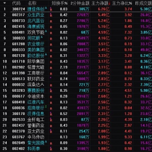 2025年8月1日沪深股市主力资金净流入前25名