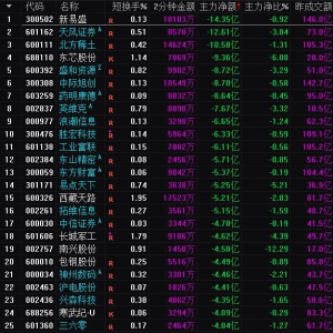 2025年8月1日沪深股市主力资金净流出前25名