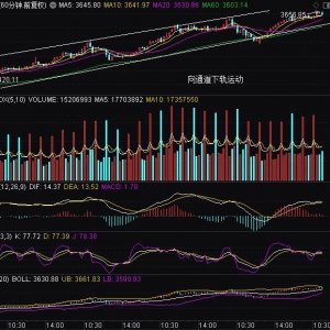 明日大盘走势预测 2025年8月12日行情猜想