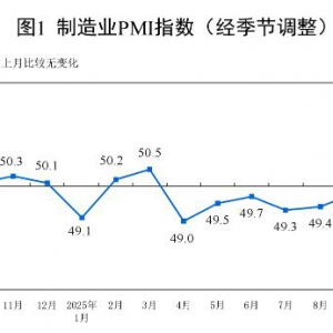 10月份制造业采购经理指数（PMI）为49.0% 制造业景气水平大幅回落 ...